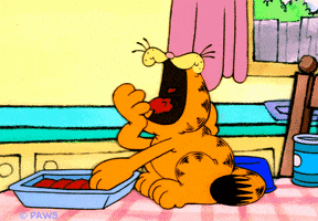 hungry cat GIF by Garfield