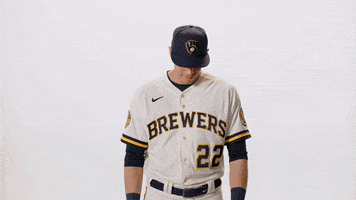 Milwaukee Brewers GIF by American Family Insurance