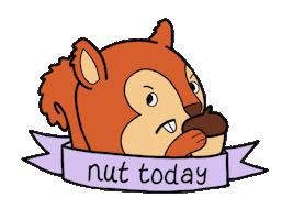 Squirrel Not Today Sticker by Lily in Space Designs