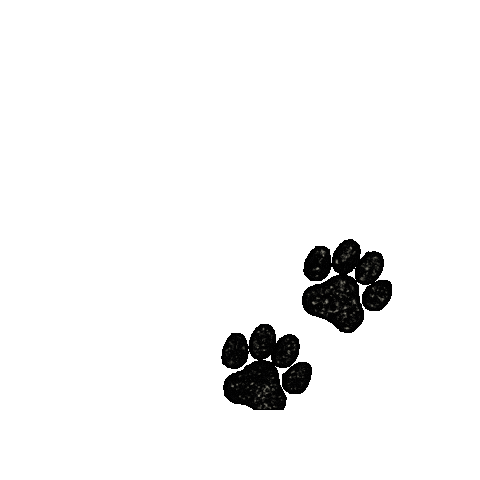 Paw Sticker by Vudora Marie