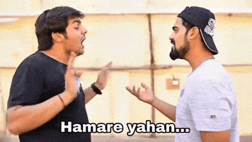 Ashish Chanchlani Cricket GIF