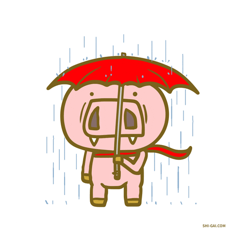 Its Raining GIF by ShiGai