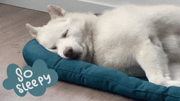 Tired Good Night GIF