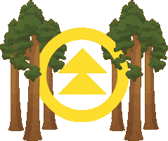 Northern Nights Music Festival Sticker