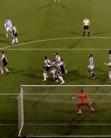West Brom Wba GIF by West Bromwich Albion