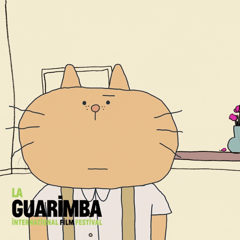 Cat Yes GIF by La Guarimba Film Festival