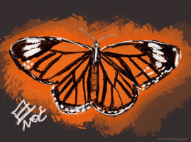 200.gif?cid=fc005b08792b19e4d8a72d0fced40335155346e365bcc37d&rid=200.gif&ct=g