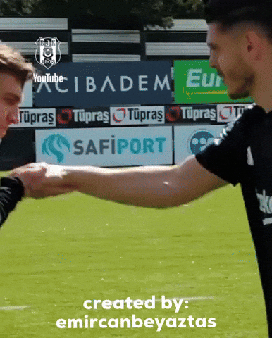 Milot Rashica GIF