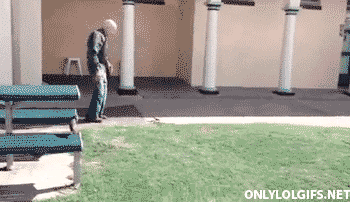 giphy.gif