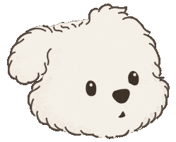 Koko Sticker