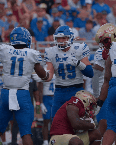 Florida State Football GIF by Matt Hudson