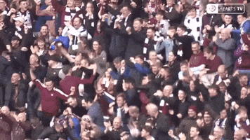awesome football GIF by Heart of Midlothian