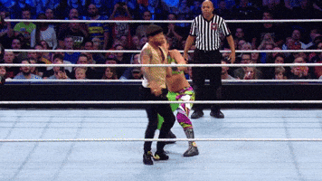 Wwe Mixed Match Challenge GIFs - Get the best GIF on GIPHY