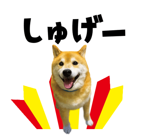 Shiba Maru Sticker By Marutaro For Ios Android Giphy