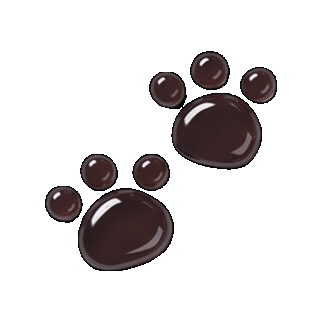 Paw 강아지 Sticker by LINE FRIENDS