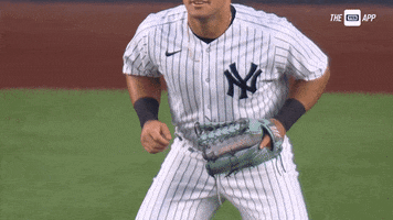 Yankees Dominguez GIF by YES Network