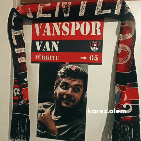 Van Turkish GIF