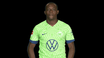 Jerome Roussillon Applause GIF by VfL Wolfsburg