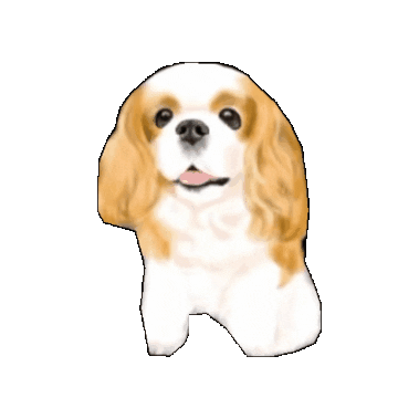 Dog Sticker