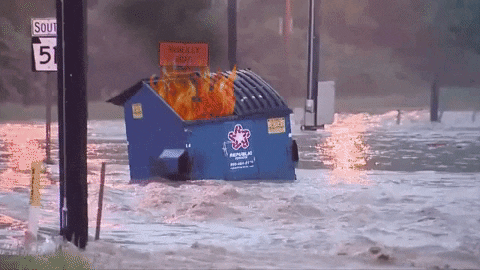 Dumpster Fire GIF by MOODMAN - Find  Share on GIPHY