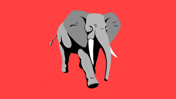 Cartoon gif. An elephant with realistic shadows walks in slow-motion.