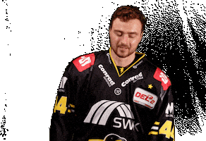 Del2 Seidenstadt Sticker by Krefeld Pinguine