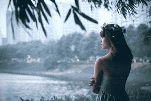 windfall  GIF