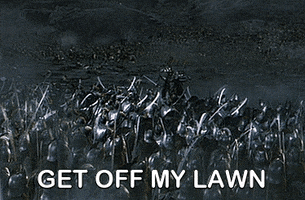 The Lord Of The Rings GIF