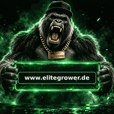 Cannabis Seeds Strain GIF by EliteGrower