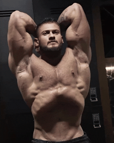 Gokalaf1 GIF