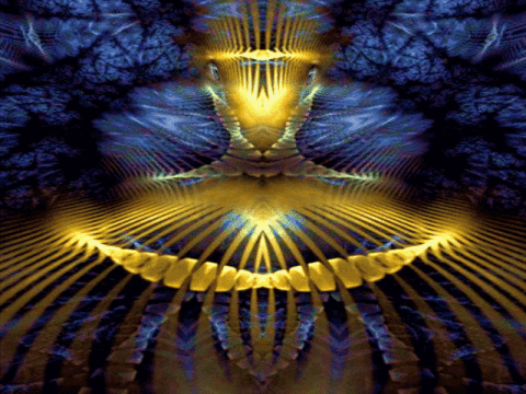 dmt
