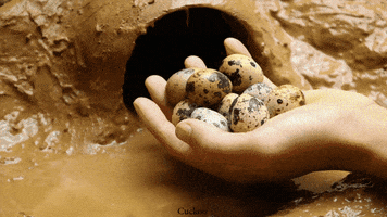 Egg Frog GIF by UnusualCooking
