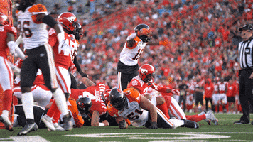 Football Nfl GIF by BC Lions