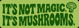 Mushrooms GIF by The Mushroom Council