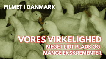 Veganism Vp GIF by Veganerpartiet - Vegan Party of Denmark