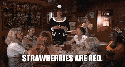 to wong foo thanks for everything julie newmar