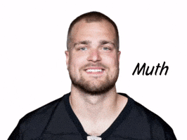 Pittsburgh Steelers GIF