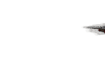 Porsche Sticker by EUROFED