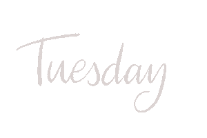 Today Tuesday Sticker