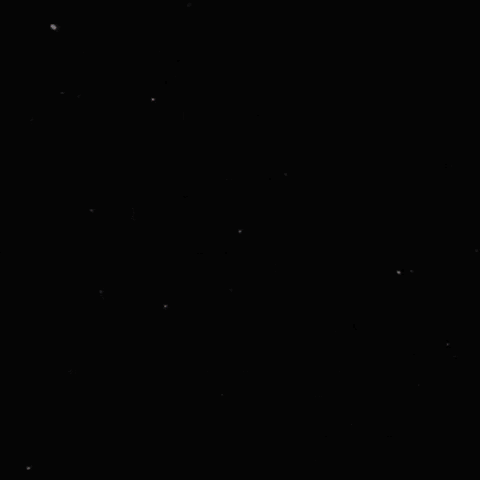 Clubhouse GIF