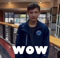 Wow GIF