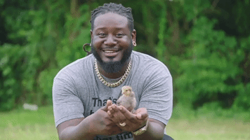 t-pain fuse GIF