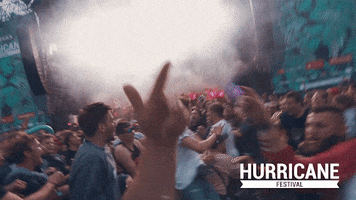 Crowd Moshpit GIF by Hurricane Festival