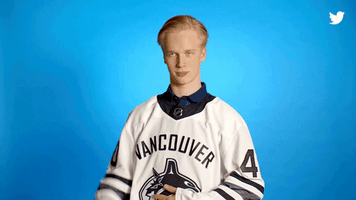 elias pettersson wow GIF by Twitter