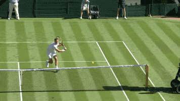 fail grigor dimitrov GIF by Wimbledon