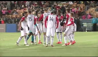 soccer team GIF by D.C. United