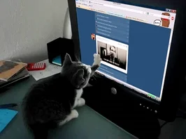 Google Prefers Videos