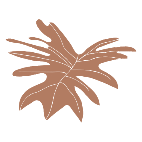 Plant Leaf Sticker