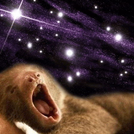 omgslothsinspace animated GIF