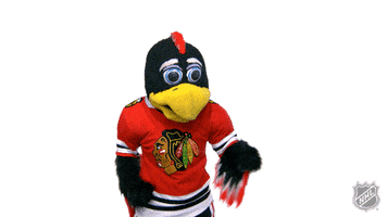 Chicago Blackhawks Thumbs Up GIF by NHL